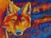 Coyote Canyon