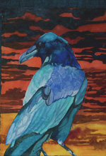 Raven's Dawn